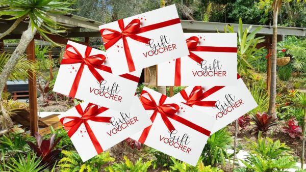 Open Gift Voucher