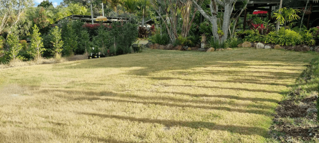 Grass Grounding Area